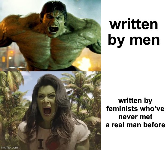 written by men written by feminists who’ve never met a real man before | image tagged in hulk,she hulk,blank | made w/ Imgflip meme maker