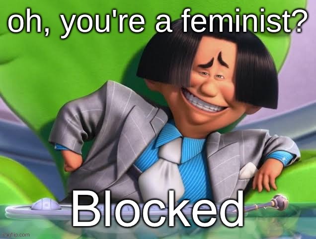 Oh you’re x blocked | oh, you're a feminist? | image tagged in oh you re x blocked | made w/ Imgflip meme maker