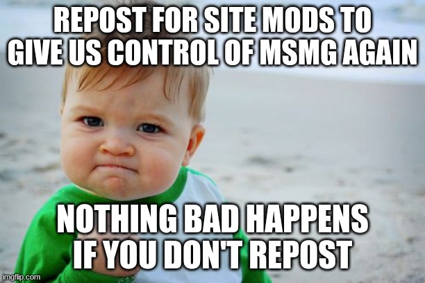 Success Kid Original Meme | REPOST FOR SITE MODS TO GIVE US CONTROL OF MSMG AGAIN; NOTHING BAD HAPPENS IF YOU DON'T REPOST | image tagged in memes,success kid original | made w/ Imgflip meme maker