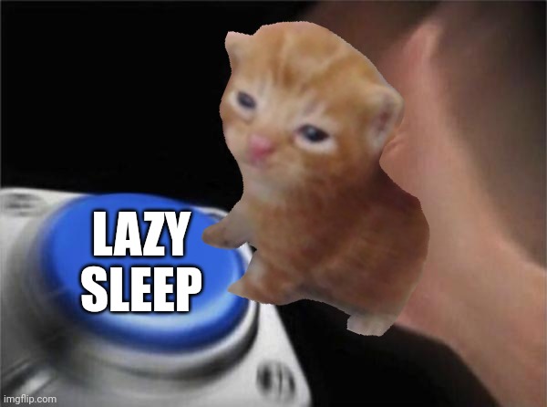 Cat is lazy | LAZY SLEEP | image tagged in cat,sleep | made w/ Imgflip meme maker