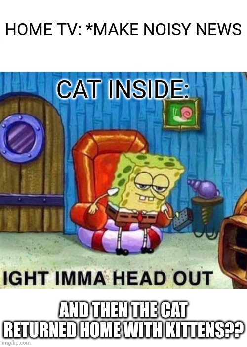 The cat is adopting street kittens | HOME TV: *MAKE NOISY NEWS; CAT INSIDE:; AND THEN THE CAT RETURNED HOME WITH KITTENS?? | image tagged in memes,spongebob ight imma head out,dark | made w/ Imgflip meme maker