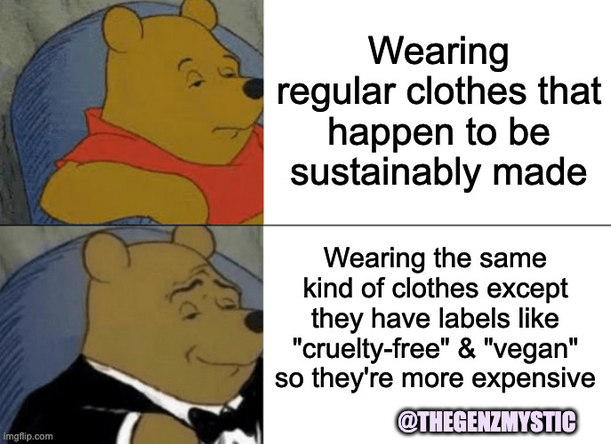Why so Expensive | Wearing regular clothes that happen to be sustainably made; Wearing the same kind of clothes except they have labels like "cruelty-free" & "vegan" so they're more expensive; @THEGENZMYSTIC | image tagged in memes,tuxedo winnie the pooh,sustainable,vegan,fashion,newage | made w/ Imgflip meme maker
