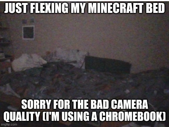 Cool bed tho | JUST FLEXING MY MINECRAFT BED; SORRY FOR THE BAD CAMERA QUALITY (I'M USING A CHROMEBOOK) | image tagged in mincraft,bed | made w/ Imgflip meme maker