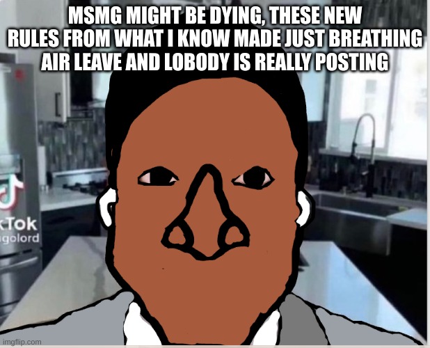 n | MSMG MIGHT BE DYING, THESE NEW RULES FROM WHAT I KNOW MADE JUST BREATHING AIR LEAVE AND LOBODY IS REALLY POSTING | image tagged in n | made w/ Imgflip meme maker