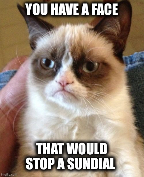 Grumpy Cat | YOU HAVE A FACE; THAT WOULD STOP A SUNDIAL | image tagged in memes,grumpy cat | made w/ Imgflip meme maker