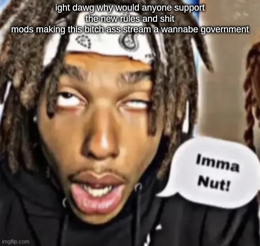 Imma Nut! | ight dawg why would anyone support the new rules and shit
mods making this bitch ass stream a wannabe government | image tagged in imma nut | made w/ Imgflip meme maker