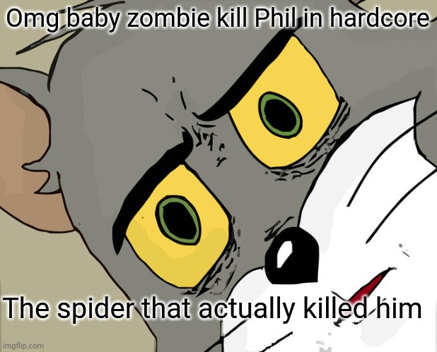 Unsettled Tom | Omg baby zombie kill Phil in hardcore; The spider that actually killed him | image tagged in memes,unsettled tom | made w/ Imgflip meme maker