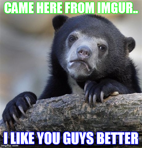 Confession Bear | CAME HERE FROM IMGUR.. I LIKE YOU GUYS BETTER | image tagged in memes,confession bear,AdviceAnimals | made w/ Imgflip meme maker