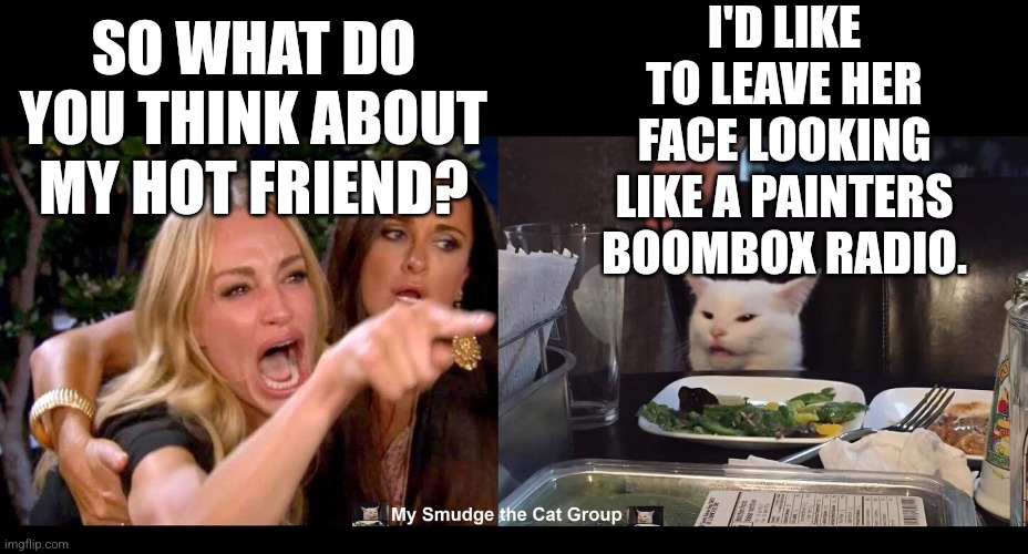  I'D LIKE TO LEAVE HER FACE LOOKING LIKE A PAINTERS BOOMBOX RADIO. SO WHAT DO YOU THINK ABOUT MY HOT FRIEND? | image tagged in smudge the cat | made w/ Imgflip meme maker