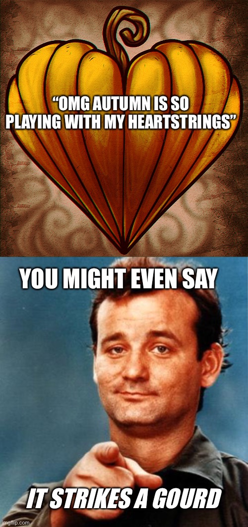 Fall | “OMG AUTUMN IS SO PLAYING WITH MY HEARTSTRINGS”; YOU MIGHT EVEN SAY; IT STRIKES A GOURD | image tagged in bill murray | made w/ Imgflip meme maker