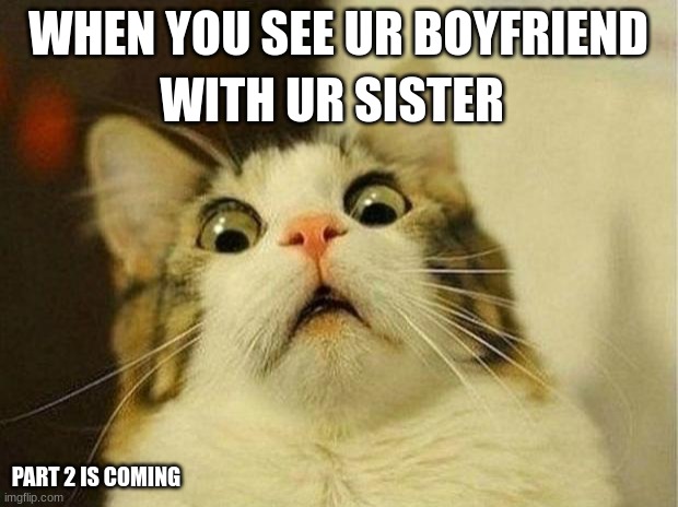 Scared Cat Meme | WITH UR SISTER; WHEN YOU SEE UR BOYFRIEND; PART 2 IS COMING | image tagged in memes,scared cat | made w/ Imgflip meme maker
