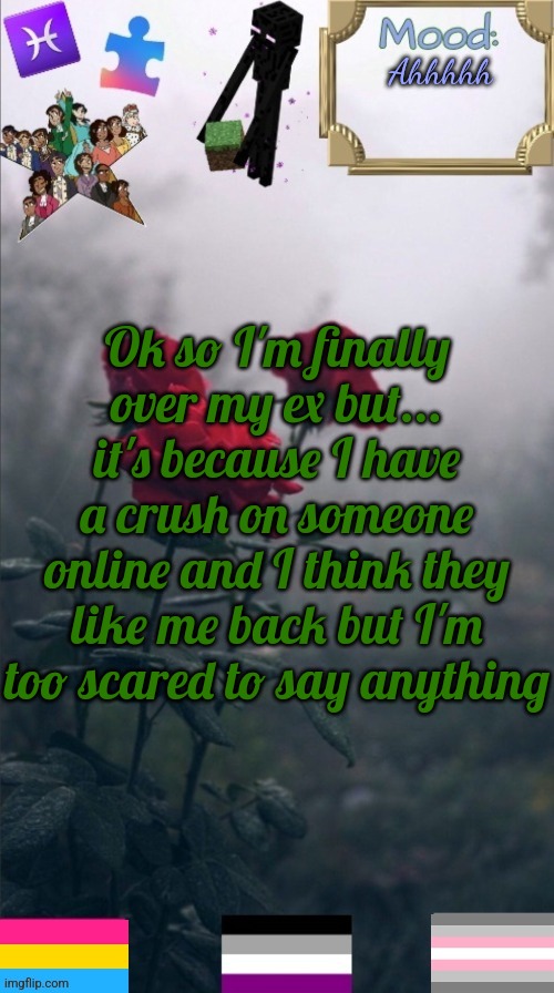 AbbytheSlytherpuff announcement template! | Ahhhhh; Ok so I'm finally over my ex but... it's because I have a crush on someone online and I think they like me back but I'm too scared to say anything | image tagged in abbytheslytherpuff announcement template | made w/ Imgflip meme maker