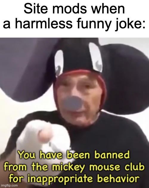 banned-from-the-mickey-mouse-club-imgflip