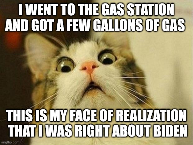 Scared Cat Meme | I WENT TO THE GAS STATION AND GOT A FEW GALLONS OF GAS; THIS IS MY FACE OF REALIZATION  THAT I WAS RIGHT ABOUT BIDEN | image tagged in memes,scared cat | made w/ Imgflip meme maker