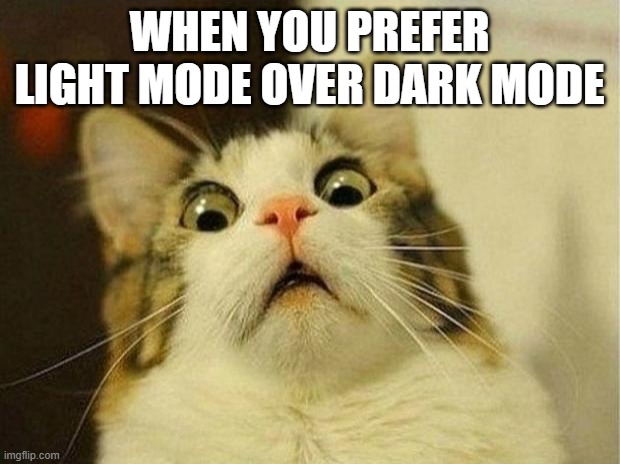 Dark Mode Superiority | WHEN YOU PREFER LIGHT MODE OVER DARK MODE | image tagged in memes,scared cat | made w/ Imgflip meme maker