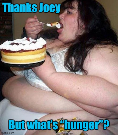Fat woman with cake | Thanks Joey But what’s “hunger”? | image tagged in fat woman with cake | made w/ Imgflip meme maker