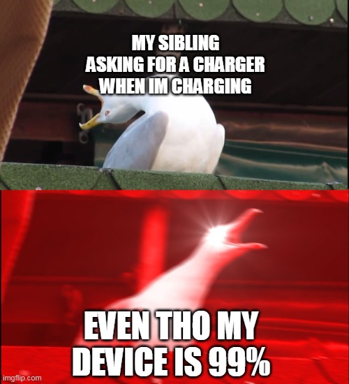 can anyone relate? | MY SIBLING ASKING FOR A CHARGER WHEN IM CHARGING; EVEN THO MY DEVICE IS 99% | image tagged in screaming bird | made w/ Imgflip meme maker