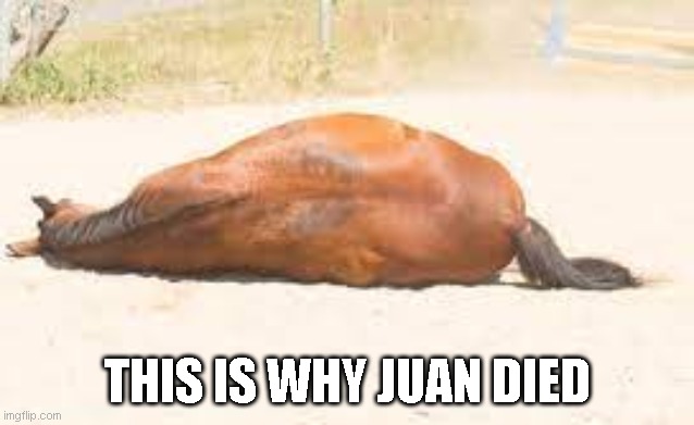 Yep hes down on the ground | THIS IS WHY JUAN DIED | image tagged in horse down | made w/ Imgflip meme maker