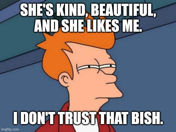 Futurama Fry | SHE'S KIND, BEAUTIFUL, AND SHE LIKES ME. I DON'T TRUST THAT BISH. | image tagged in memes,futurama fry | made w/ Imgflip meme maker