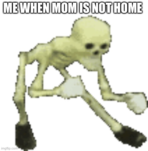 Mom is not home meme | ME WHEN MOM IS NOT HOME | image tagged in not home | made w/ Imgflip meme maker