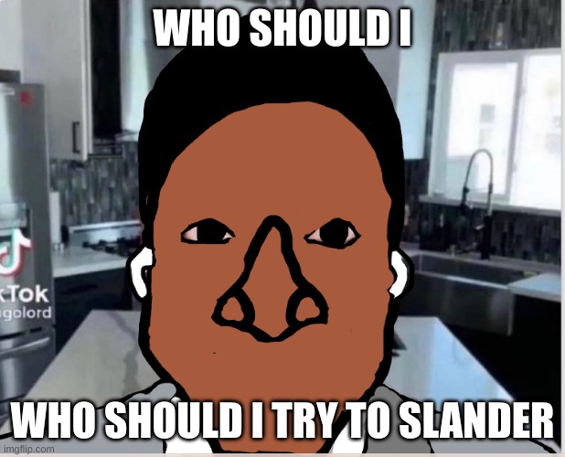 n | WHO SHOULD I; WHO SHOULD I TRY TO SLANDER | image tagged in n | made w/ Imgflip meme maker