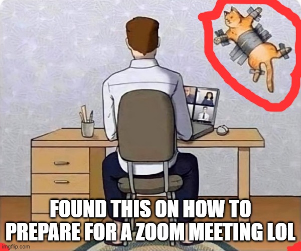 FOUND THIS ON HOW TO PREPARE FOR A ZOOM MEETING LOL | image tagged in cats | made w/ Imgflip meme maker