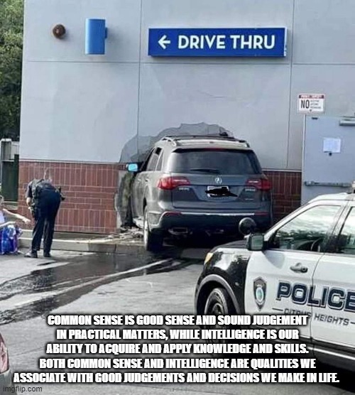Drive Thru |  COMMON SENSE IS GOOD SENSE AND SOUND JUDGEMENT IN PRACTICAL MATTERS, WHILE INTELLIGENCE IS OUR ABILITY TO ACQUIRE AND APPLY KNOWLEDGE AND SKILLS. BOTH COMMON SENSE AND INTELLIGENCE ARE QUALITIES WE ASSOCIATE WITH GOOD JUDGEMENTS AND DECISIONS WE MAKE IN LIFE. | image tagged in car wreck | made w/ Imgflip meme maker