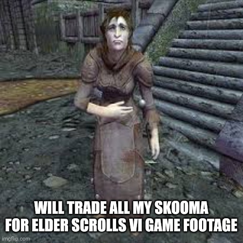 Skooma | WILL TRADE ALL MY SKOOMA FOR ELDER SCROLLS VI GAME FOOTAGE | image tagged in video games | made w/ Imgflip meme maker