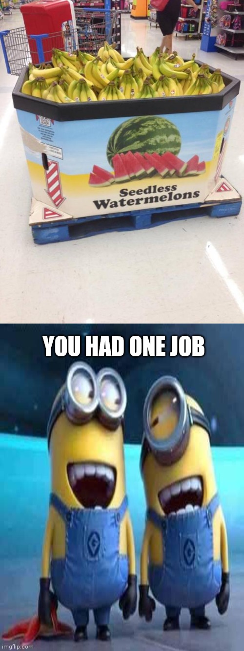 YOU HAD ONE JOB | image tagged in you had one job | made w/ Imgflip meme maker