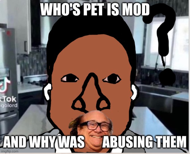 didn't say his name | WHO'S PET IS MOD; AND WHY WAS       ABUSING THEM | image tagged in n | made w/ Imgflip meme maker