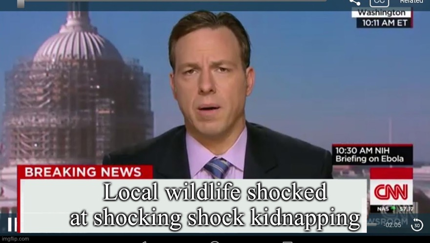 More shocks | Local wildlife shocked at shocking shock kidnapping | image tagged in cnn breaking news template,re shock,shocked | made w/ Imgflip meme maker