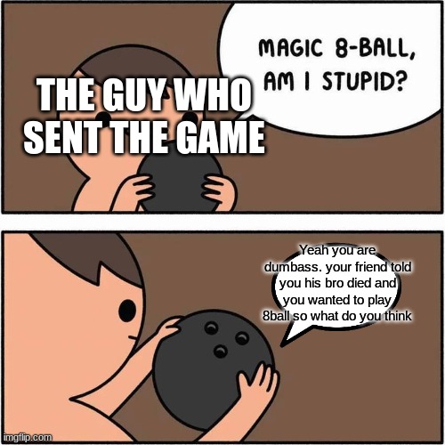 8ball | THE GUY WHO SENT THE GAME Yeah you are dumbass. your friend told you his bro died and you wanted to play 8ball so what do you think | image tagged in 8ball | made w/ Imgflip meme maker