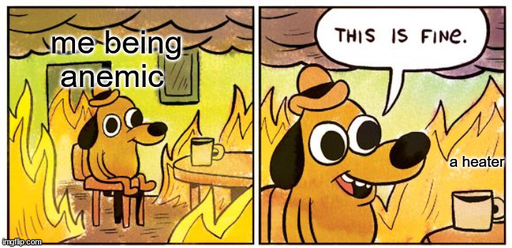 This Is Fine | me being anemic; a heater | image tagged in memes,this is fine,relatable | made w/ Imgflip meme maker
