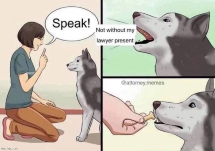 image tagged in memes | made w/ Imgflip meme maker