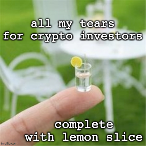 crypto tears | all my tears for crypto investors; complete with lemon slice | image tagged in crypto,bitcoin,tears | made w/ Imgflip meme maker