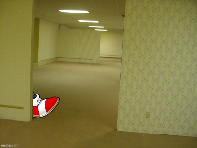 sonc walking into the backrooms | image tagged in the backrooms | made w/ Imgflip meme maker