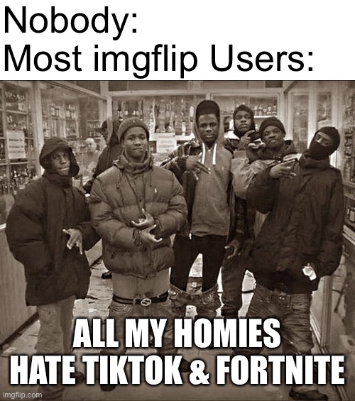 All My Homies Hate | Nobody:
Most imgflip Users:; ALL MY HOMIES HATE TIKTOK & FORTNITE | image tagged in all my homies hate,memes,tiktok logo,fortnite sucks,imgflip users,imgflip | made w/ Imgflip meme maker
