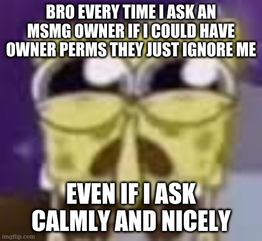 one of them said yes, and forgot, like bro i did not spend a whole year staying online every day all day just for this | BRO EVERY TIME I ASK AN MSMG OWNER IF I COULD HAVE OWNER PERMS THEY JUST IGNORE ME; EVEN IF I ASK CALMLY AND NICELY | image tagged in spunchbop all sad n shit | made w/ Imgflip meme maker