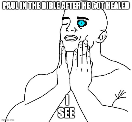 Satisfaction | PAUL IN THE BIBLE AFTER HE GOT HEALED; I SEE | image tagged in satisfaction | made w/ Imgflip meme maker