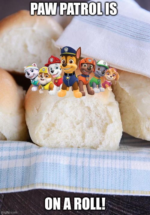 PAW PATROL IS; ON A ROLL! | image tagged in memes | made w/ Imgflip meme maker