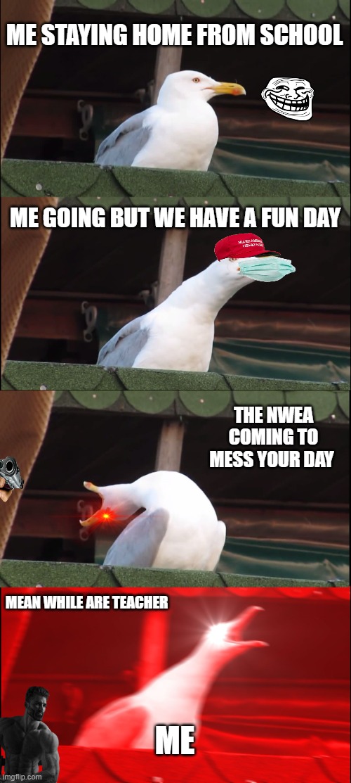 Inhaling Seagull | ME STAYING HOME FROM SCHOOL; ME GOING BUT WE HAVE A FUN DAY; THE NWEA COMING TO MESS YOUR DAY; MEAN WHILE ARE TEACHER; ME | image tagged in memes,inhaling seagull | made w/ Imgflip meme maker