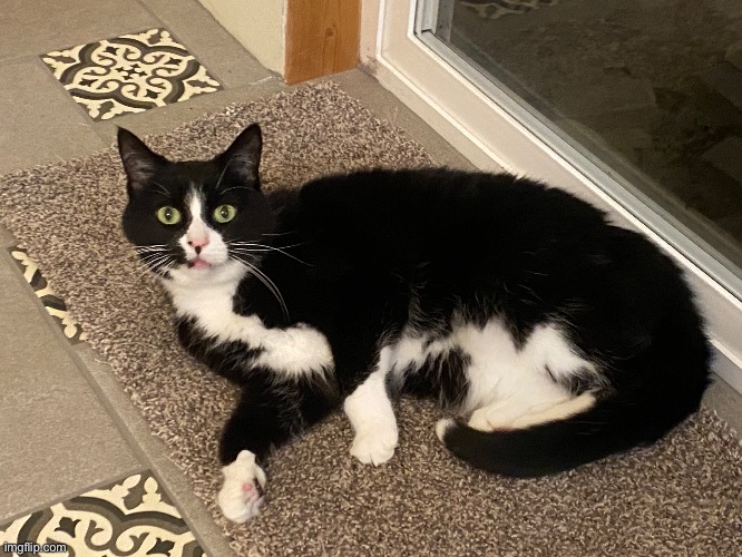 made w/ Imgflip meme maker