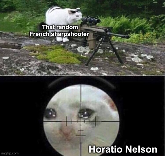 Sniper cat | That random French sharpshooter; Horatio Nelson | image tagged in sniper cat,battle of trafalgar,horatio nelson | made w/ Imgflip meme maker