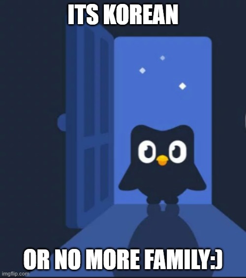 Duolingo bird | ITS KOREAN; OR NO MORE FAMILY:) | image tagged in duolingo bird | made w/ Imgflip meme maker
