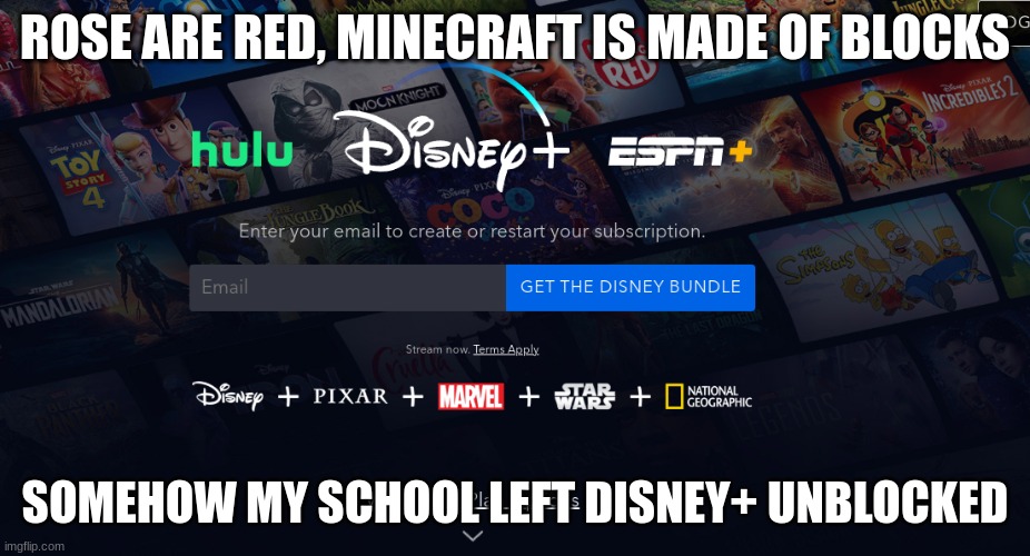 I could watch the Star Wars right now bro | ROSE ARE RED, MINECRAFT IS MADE OF BLOCKS; SOMEHOW MY SCHOOL LEFT DISNEY+ UNBLOCKED | image tagged in memes,disney | made w/ Imgflip meme maker