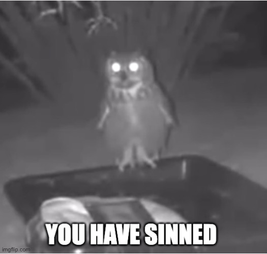 You Have Sinned Owl | image tagged in you have sinned owl | made w/ Imgflip meme maker