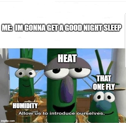 Summer exhaustion and torture |  ME:  IM GONNA GET A GOOD NIGHT SLEEP; HEAT; THAT ONE FLY; HUMIDITY | image tagged in allow us to introduce ourselves,memes | made w/ Imgflip meme maker