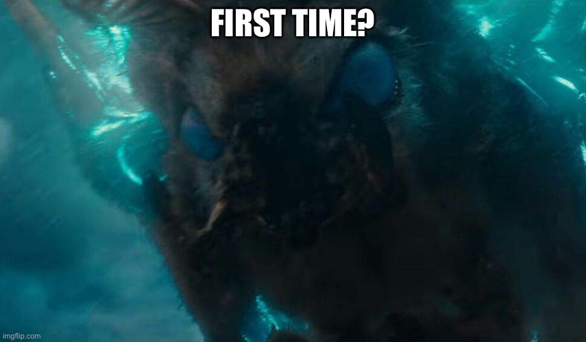 Mothra | FIRST TIME? | image tagged in mothra | made w/ Imgflip meme maker
