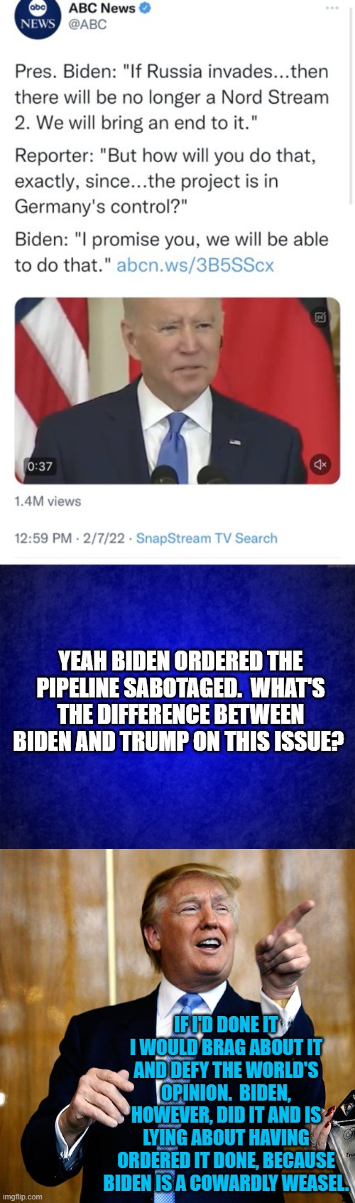 Other than Biden's dementia, here is a major difference between these two presidents. | YEAH BIDEN ORDERED THE PIPELINE SABOTAGED.  WHAT'S THE DIFFERENCE BETWEEN BIDEN AND TRUMP ON THIS ISSUE? IF I'D DONE IT I WOULD BRAG ABOUT IT AND DEFY THE WORLD'S OPINION.  BIDEN, HOWEVER, DID IT AND IS LYING ABOUT HAVING ORDERED IT DONE, BECAUSE BIDEN IS A COWARDLY WEASEL. | image tagged in weasel | made w/ Imgflip meme maker