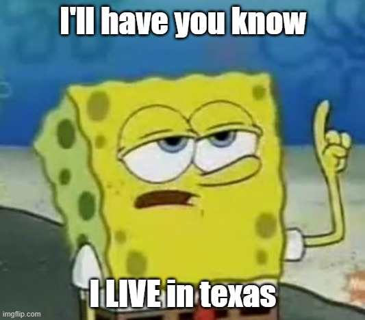I'll Have You Know Spongebob Meme | I'll have you know I LIVE in texas | image tagged in memes,i'll have you know spongebob | made w/ Imgflip meme maker